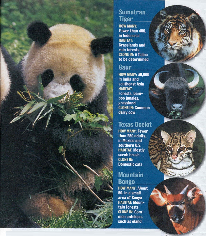 Newsweek magazine cover - October 16, 2000
