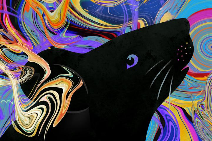 Picture of a psychedelic mouse